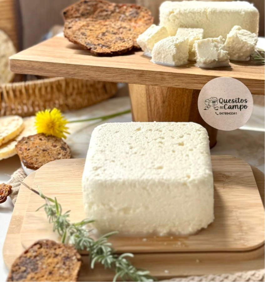 NEW! Fresh Antioqueno Cheese - Quesitos del Campo