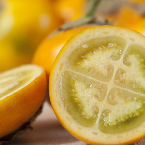 Lulo Fruit pulp - 1Kg Box (10 x 100g Sachets)