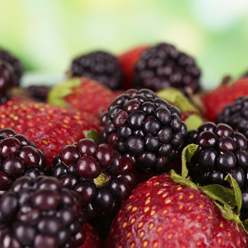 Mixed Berry Fruit Pulp - 1Kg Box (10 x 100g Sachets)